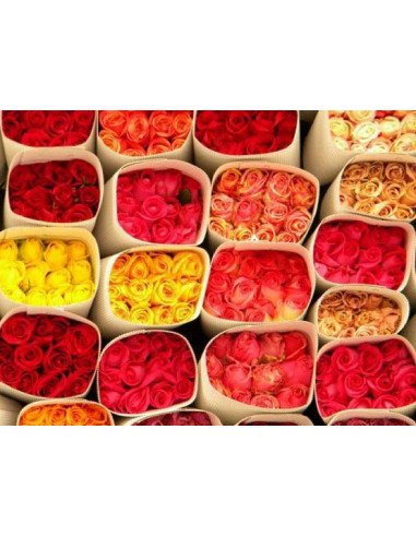 Assorted Roses 100 stems Growers Assortment