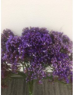 Seafoam Statice 10 Bunches 2