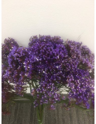 Seafoam Statice 10 Bunches