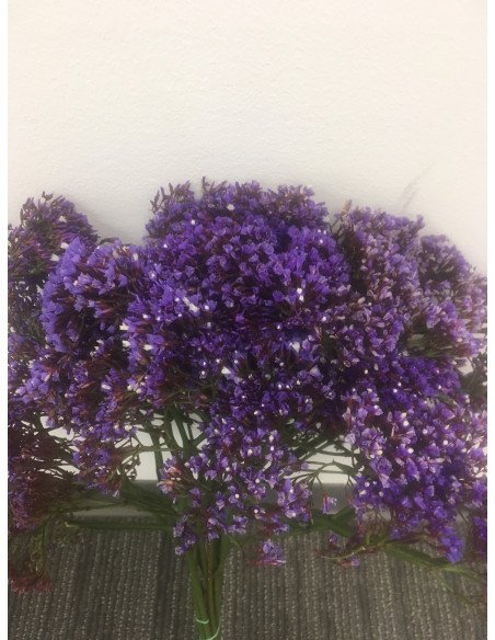 Seafoam Statice 10 Bunches