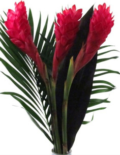 Tropical Bouquets 10 Bunches