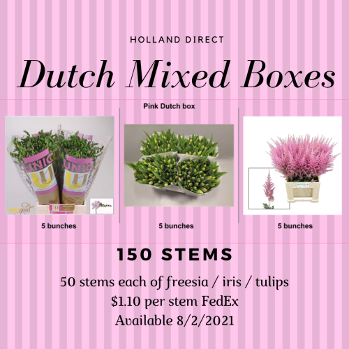 Dutch Mixed Boxes / 150 Stems