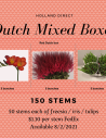 Dutch Mixed Boxes / 150 Stems