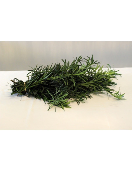 Weeping Podocarpus Garland