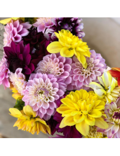 wholesale dahlias for weddings and events