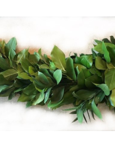 Salal / Israeli Ruscus Garland TEN FOOT SECTION