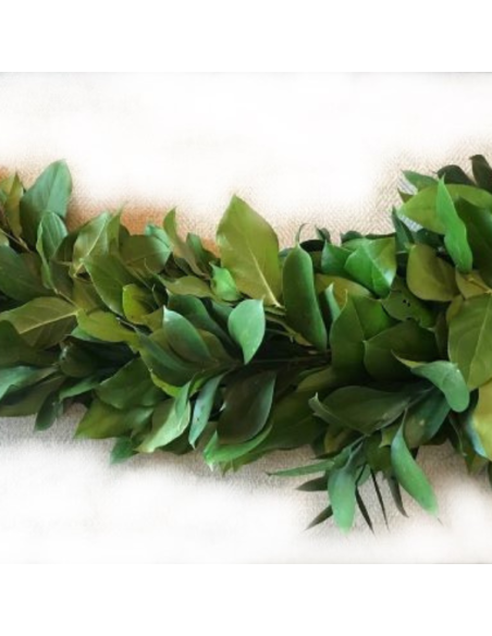 Salal / Israeli Ruscus Garland TEN FOOT SECTION