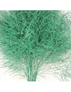 Color Fresh Tree Fern 100 stems 2