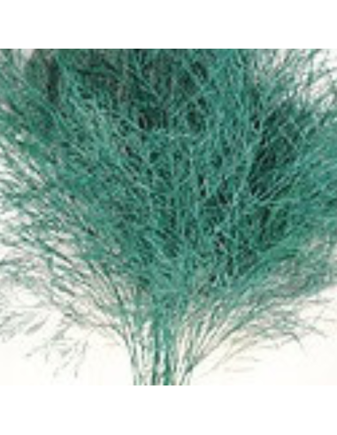 Color Fresh Tree Fern 100 stems