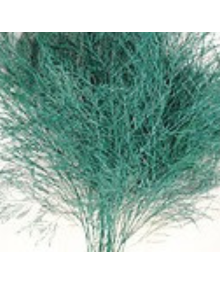 Color Fresh Tree Fern 100 stems