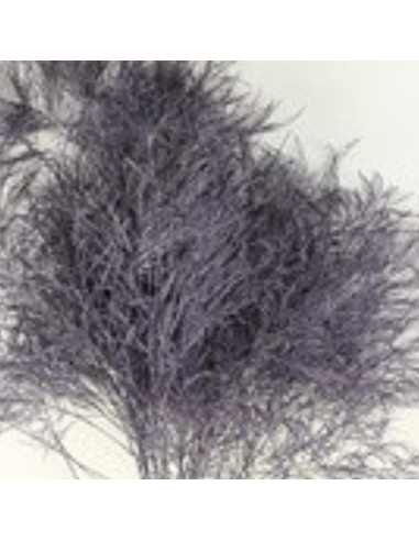 Color Fresh Tree Fern 100 stems