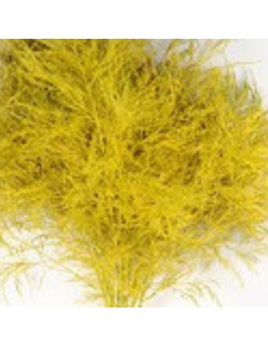 Color Fresh Tree Fern 100 stems