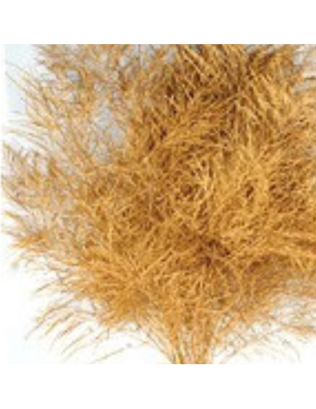 Color Fresh Tree Fern 100 stems