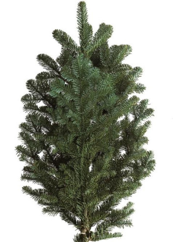 Christmas Greens Sampler Box 14 bunches