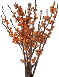 Ilex 25 Stems