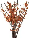 Ilex 25 Stems
