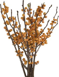 Ilex 25 Stems 2