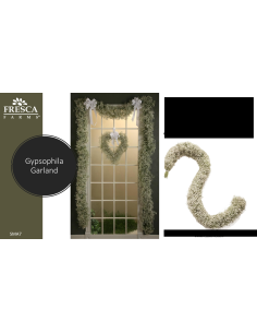 Wholesale Fresh Gypsophila Garland - 5ft Baby's Breath Section