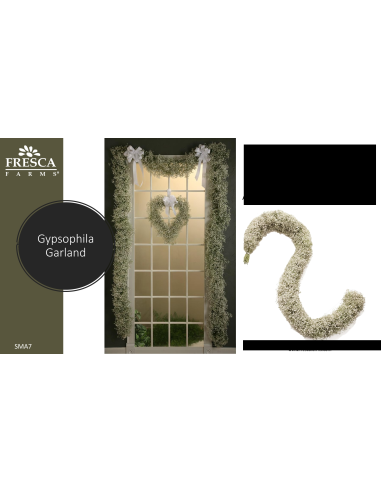 Wholesale Fresh Gypsophila Garland - 5ft Baby's Breath Section