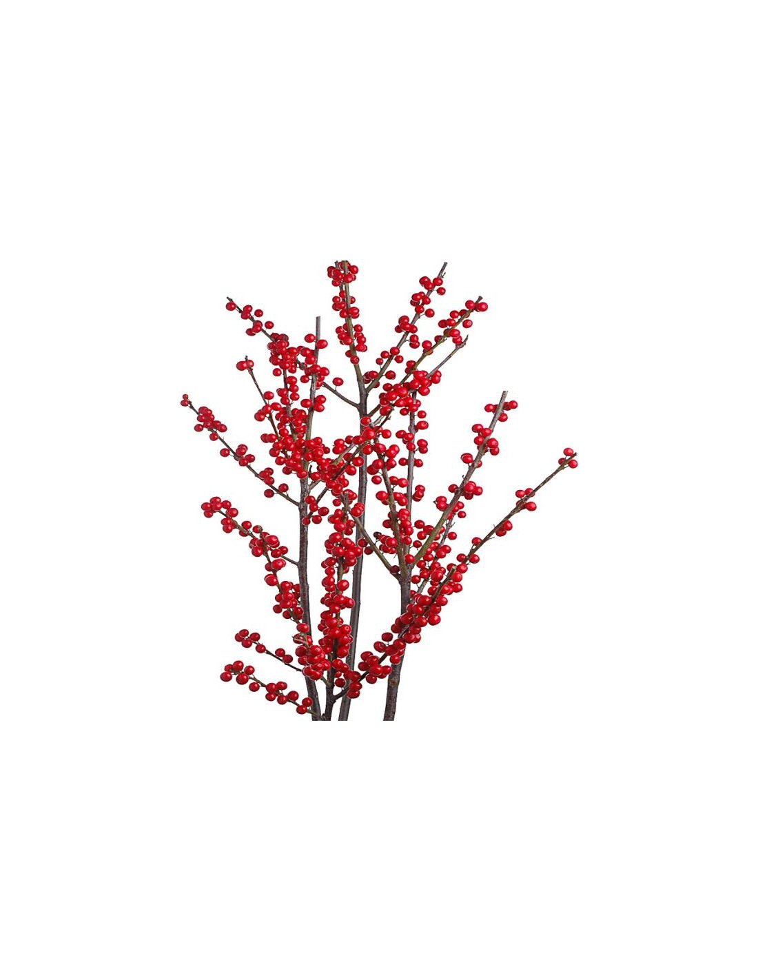 Iilex 105 Stems Iilex 105 Stems