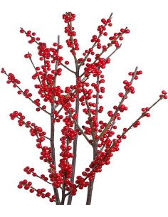 ilex PREMIUM RED 25 Stems