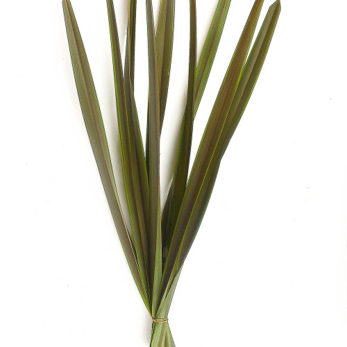 Flax 50 / 100 / 150 / 200 stems