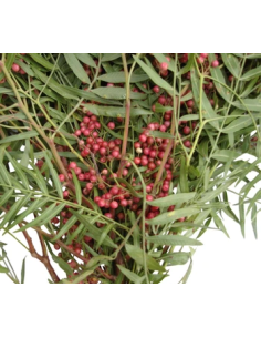 Pepperberry Hanging Red 5 bunches