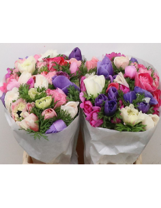 Anemone Assorted – Wholesale & Bulk (50 or 100 Stems) 2