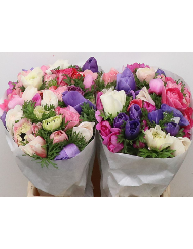 Anemone Assorted – Wholesale & Bulk (50 or 100 Stems)