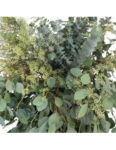 Eucalyptus Mixed Box 5 / 10 / 15 / 20  bunches 2
