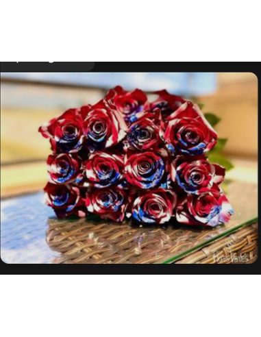 Patriotic Tinted Roses 100 Stems 50cm