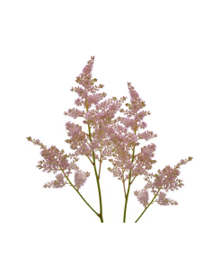 Light Pink Astilbe  120 stems