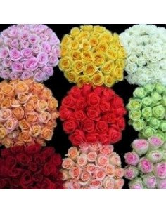 Premium Roses Assorted