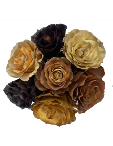 Macchiato ASSORTED Tinted Roses 100 Stems 50cm