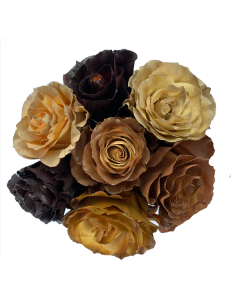 Macchiato ASSORTED Tinted Roses 100 Stems 50cm