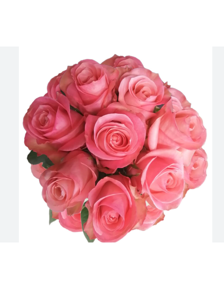 Sweet Mama Pink Rose 50 / 100 / 200 stems