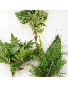 Greenery "drop in" Bouquets Petites & Smalls 5 / 10 / 15 / 20 bunches 2