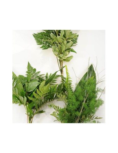 Greenery "drop in" Bouquets Petites & Smalls 5 / 10 / 15 / 20 bunches Greenery "drop in" Bouquets Petites & Smalls 5 / 10 / 15 / 20 bunches