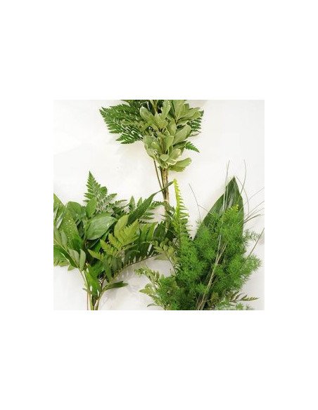 Greenery "drop in" Bouquets Petites & Smalls 5 / 10 / 15 / 20 bunches