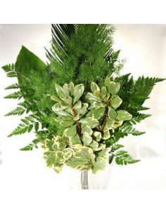 Greenery "drop in" Bouquets MEDIUM 5 / 10 / 15 / 20 bunches