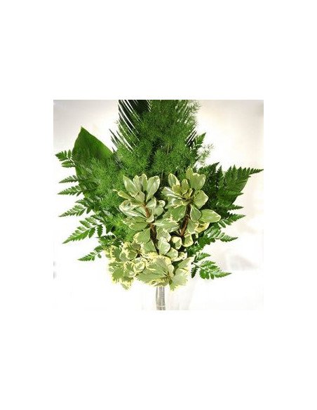 Greenery "drop in" Bouquets MEDIUM 5 / 10 / 15 / 20 bunches