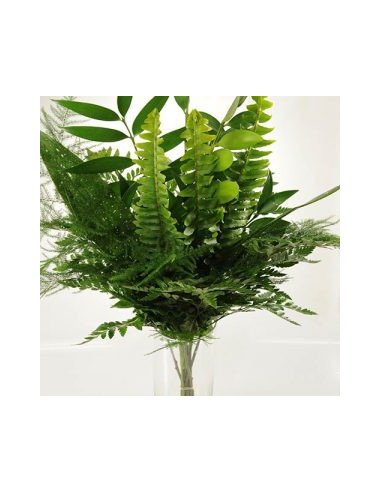 Greenery "drop in" Bouquets MEDIUM 5 / 10 / 15 / 20 bunches Greenery "drop in" Bouquets MEDIUM 5 / 10 / 15 / 20 bunches