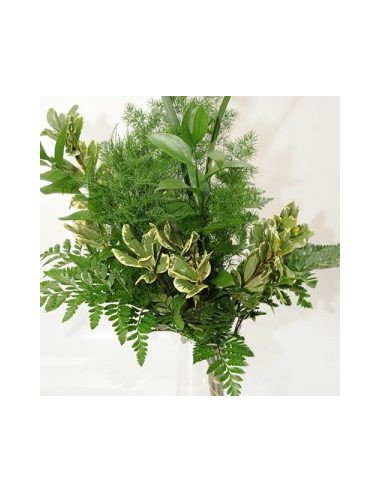 Greenery "drop in" Bouquets MEDIUM 5 / 10 / 15 / 20 bunches Greenery "drop in" Bouquets MEDIUM 5 / 10 / 15 / 20 bunches