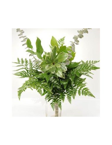 Greenery "drop in" Bouquets MEDIUM 5 / 10 / 15 / 20 bunches Greenery "drop in" Bouquets MEDIUM 5 / 10 / 15 / 20 bunches