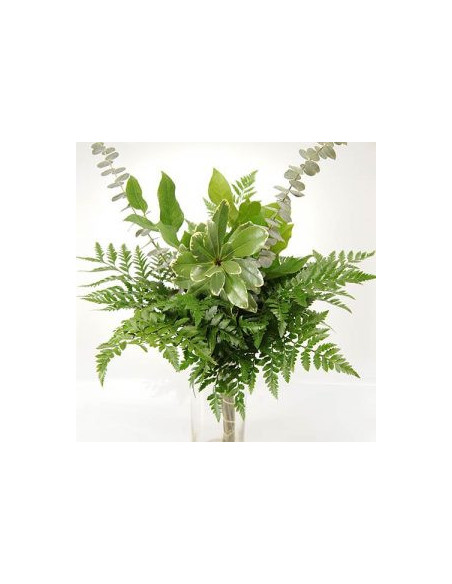 Greenery "drop in" Bouquets MEDIUM 5 / 10 / 15 / 20 bunches