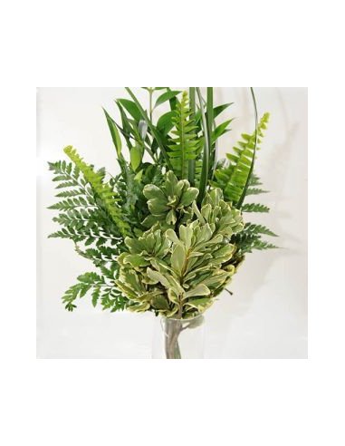 Greenery "drop in" Bouquets MEDIUM 5 / 10 / 15 / 20 bunches Greenery "drop in" Bouquets MEDIUM 5 / 10 / 15 / 20 bunches