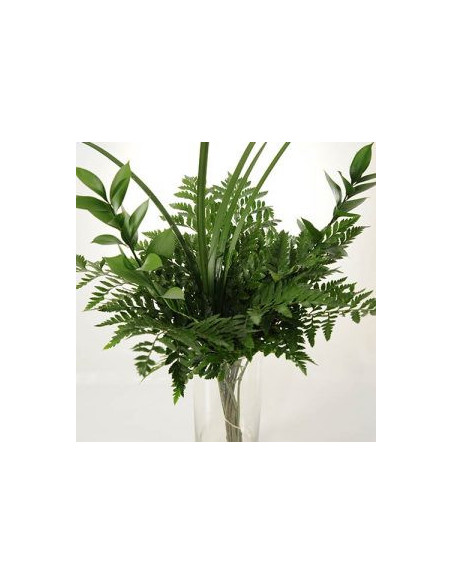 Greenery "drop in" Bouquets MEDIUM 5 / 10 / 15 / 20 bunches