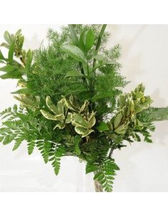 Greenery "drop in" Bouquets LARGE 5 / 10 / 15 / 20 bunches