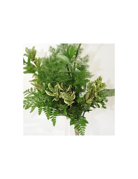 Greenery "drop in" Bouquets LARGE 5 / 10 / 15 / 20 bunches