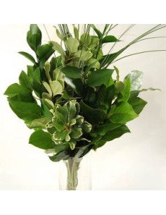 Greenery "drop in" Bouquets LARGE 5 / 10 / 15 / 20 bunches 2